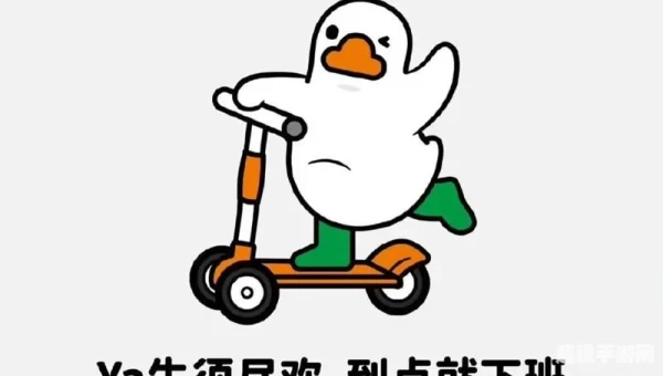 来躺平呀