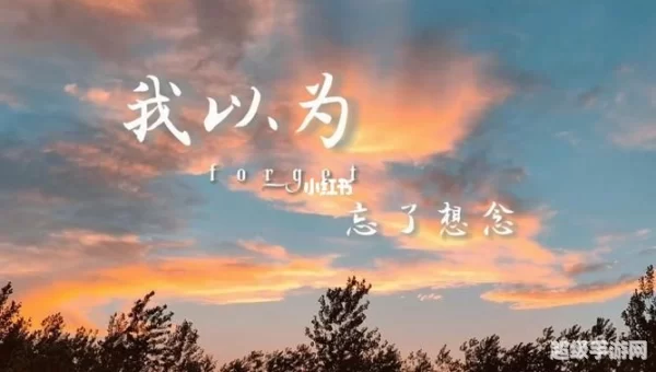 我以为忘了想念