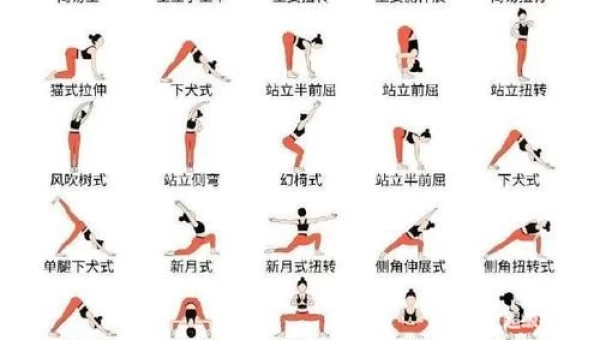 瑜伽教程下载