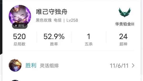 灵活排位和单双排的区别