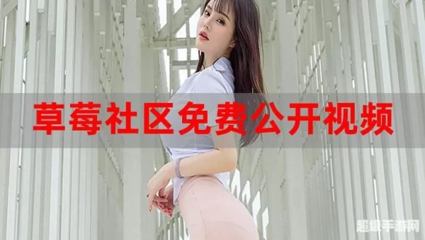 草莓app下载最新下载网址