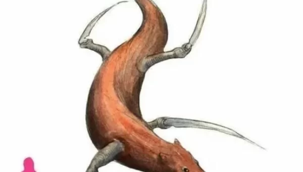 未确认生物