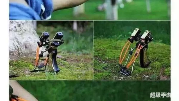 鹰犬怎么打