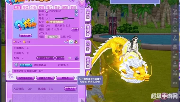 qq炫舞宠物